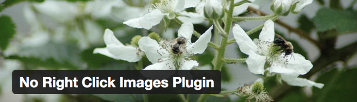 no-right-click-images-wordpress-plugin