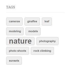 wordpress-tag-cloud-image