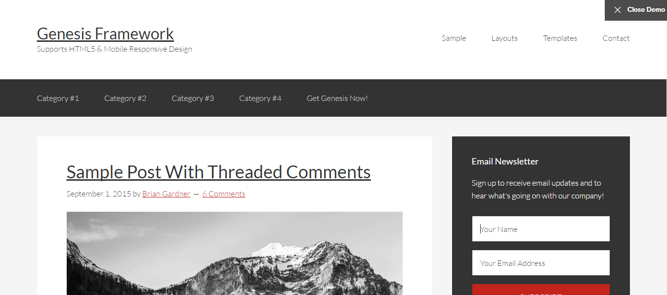 Genesis Framework Theme: Genesis Framework