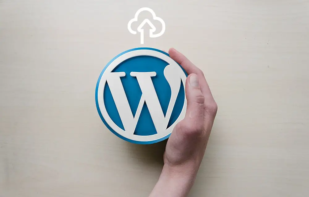 wordpress-not-updating-automatically-what-to-do-wp-thinker